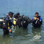 Learning how to Dive